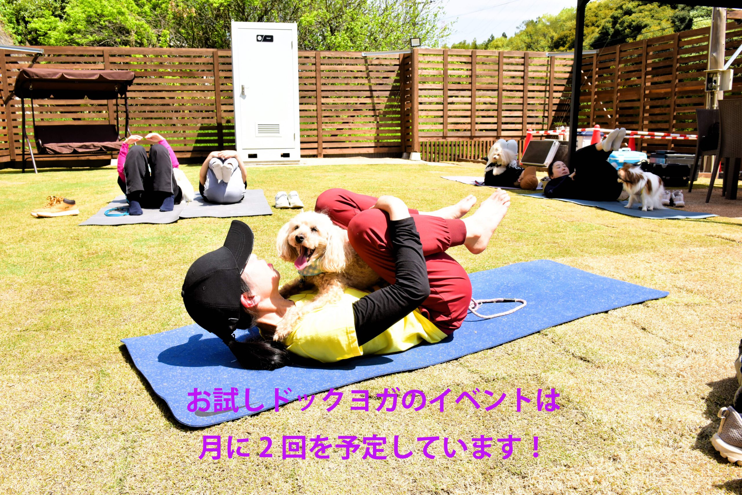 ドッグヨガイベントの写真