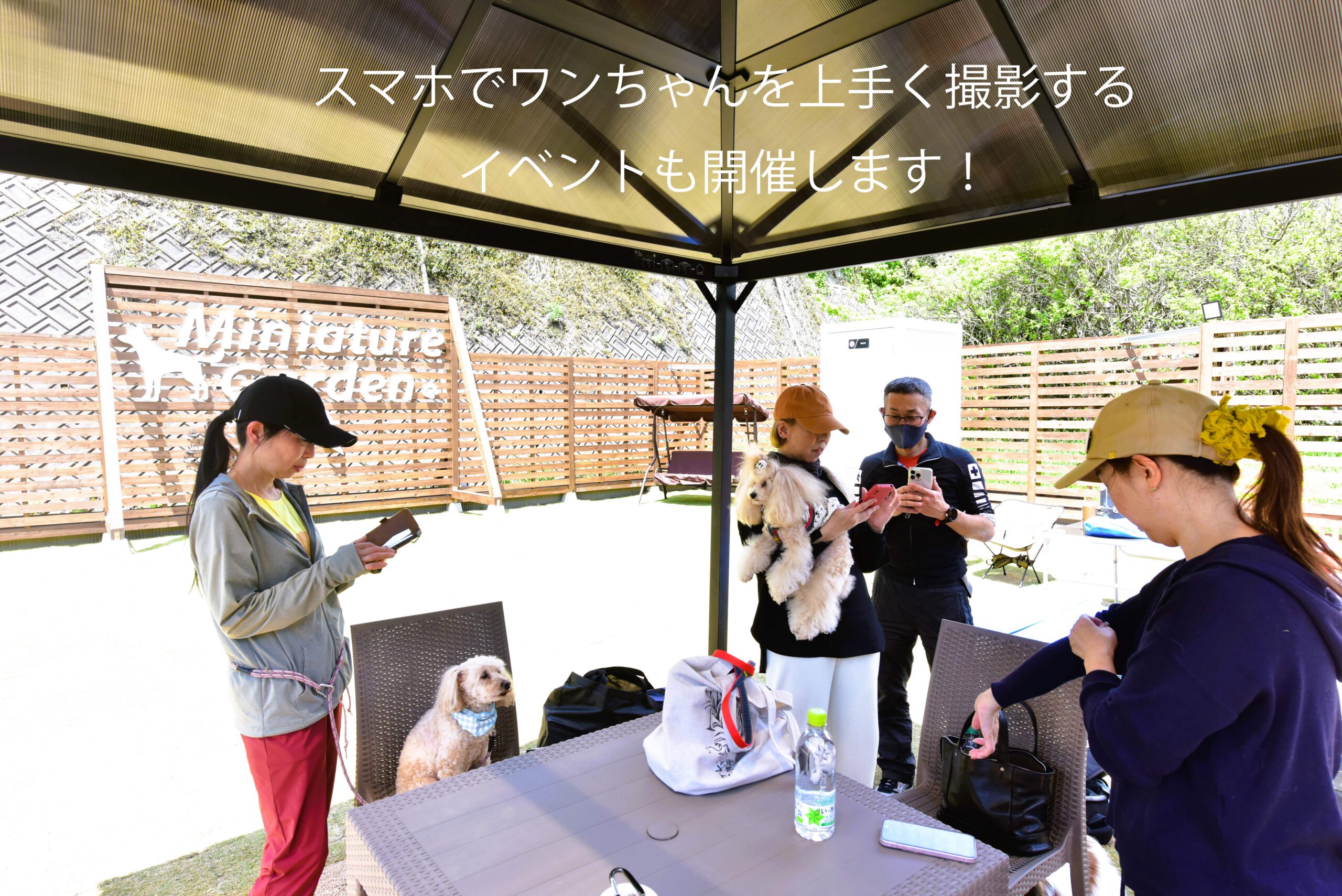 スマホでの写真教室の写真