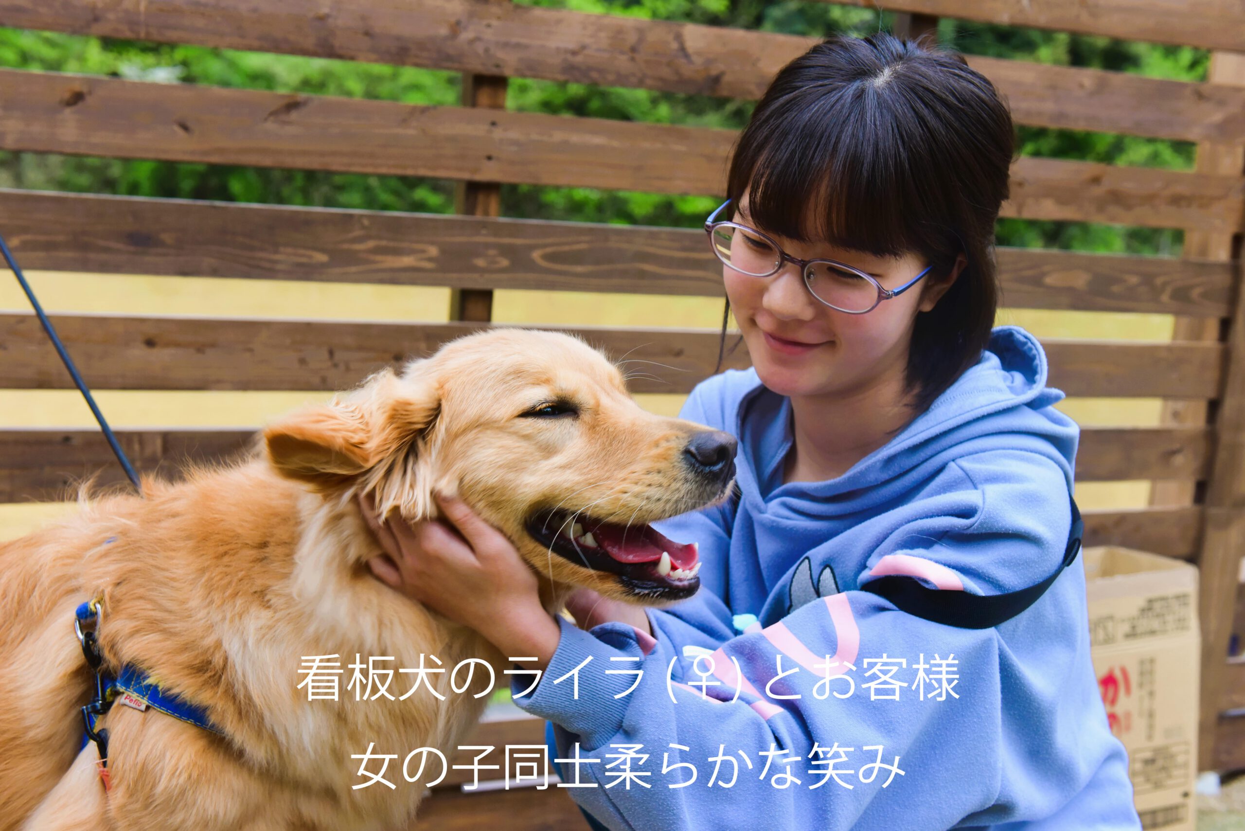 看板犬ライラと遊んでいる女の子の写真